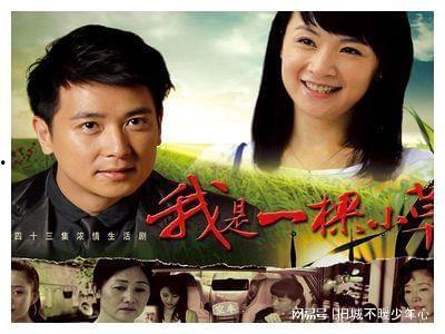 我是一棵小草电视剧,小草的奋斗与成长